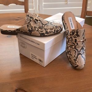 Steve Madden Mules